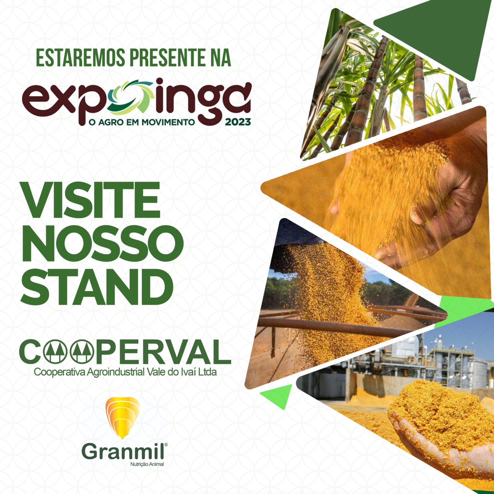 Expoinga 2023