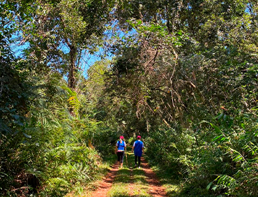 Treinamento Vivencial - 18/03/2020